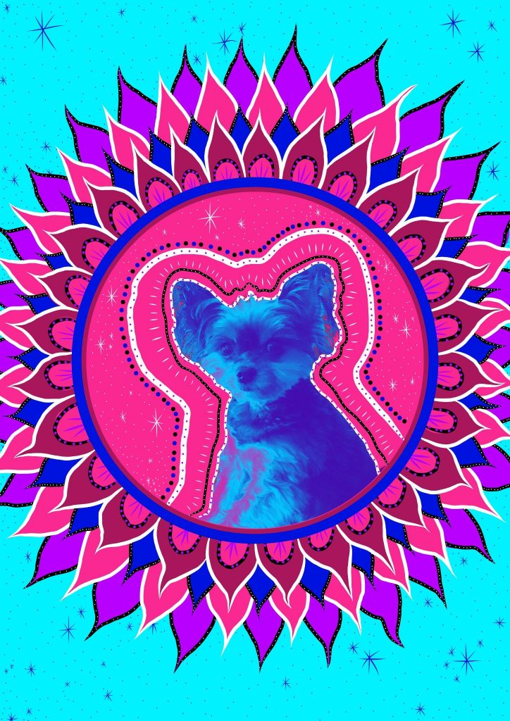 dog-portrait-mandala-pop-art-colorful